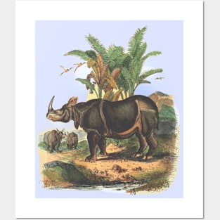 Rhinoceros wildlife illustration Posters and Art